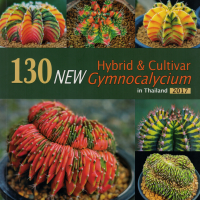 130NEW Hybrid &amp; Cultivar Gymnocalycium