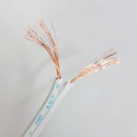 สายไฟ SPEAKER WIRE  สายอ่อนสีเทา สายไฟแรงดันต่ำ เดินลอย สำหรับเครื่องใช้ไฟฟ้า สายคู่ มีปลอก ANT Cable ของแท้100% มีมอก ANT แบ่งขายชุด20เมตร ส่งเร็ว