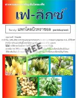 สารราดมะม่วง ราดลำไย ทุเรียน อั้นยอด หยุดยอด แพคโคล ทะวาย 15% Paclobutrazol เปิดตาดอก เร่งออกดอก ทำไม้ผล นอกฤดู ออกนอกฤดู ?เฟลิกซ์ 1 กิโลกรัม