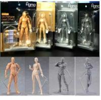 (Popular toys)  Figma คุณภาพสูง BODY KUN Amp;