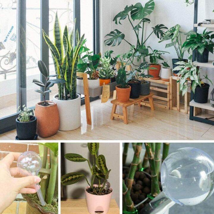 5pcs-garden-automatic-plant-water-feeder-self-watering-plastic-ball-flowers-water-cans-flowerpot-drip-irrigation-device-for-pot