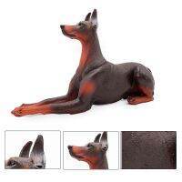 Plus Idea Doberman Pinscher Model Cognitive Ability Burrs-free Smell-less Action Figure Toy Doberman Pinscher for Children