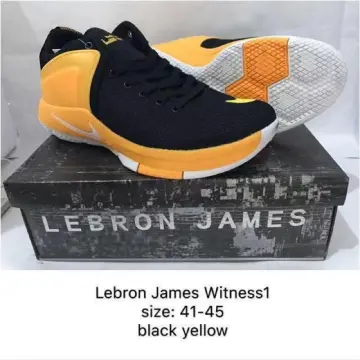 Lebron james shoes on sale agimat