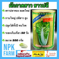 ผักกาดขาว ขาวปลี ปลาทอง ขนาด 500 กรัม เมล็ดพันธุ์ ลอตใหม่ งอกดี กาบใหญ่ ปลีขาว ห่อแน่น ทนทานโรค อายุเก็บเกี่ยว 50 วัน ปลูกได้ตลอดทั้งปี