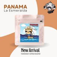 DD coffee bean Tanmonkey Coffee เมล็ดกาแฟ Panama La Esmeralda Jaramillo &amp; Canas Verdes 2022 ส่งฟรี