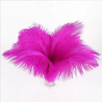 High quality dyed big ostrich feather ostrich feather bleached ostrich feather regular color 40-45