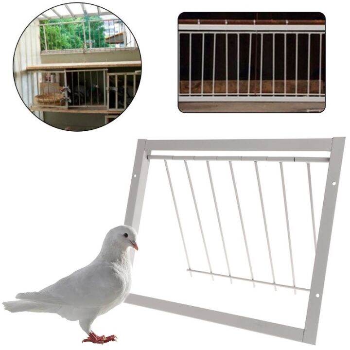 Pigeon Door Trap with 710 TTraps Pigeon Trap Door for Pigeon Cage