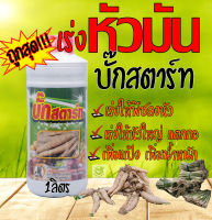 ฮอร์โมน บั๊กสตาร์ท ขนาด 1ลิตร เร่งหัวมัน ลงหัวระเบิดหัว เพิ่มแป้งมัน พืชตระกูลหัวทุกชนิด มันโต้ ตะไคร้