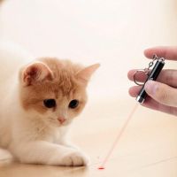 ♟☢♚ Pet Cat Dog Chase Training 2-In-1 LED Laser Pointer Toy