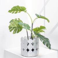 กระถางต้นไม้ minimal modern มีให้เลือก 3 สี white black  gray Dotted Planter Short  spacemaker
