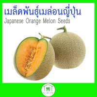 เมล็ดพันธุ์เมล่อนญี่ปุ่น (Japanese Orange Melon Seeds)