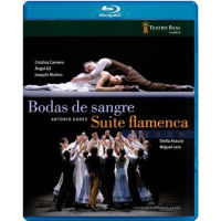 Flamenco Dance: Blood Marriage &amp; seven section traditional suite gardes / Spanish National Dance Troupe 25g