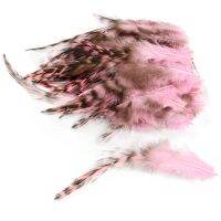 50pcs/Bag Pheasant Feather for Crafts Grizzly Rooster Saddle Fly Tying Jewelry Dreamcather Earring Accessory