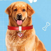 New Dog Leash Cute Decoration Peach Heart Square Style Dog Collar Leash Best Selling Products Dogs Useful Dog Supplies