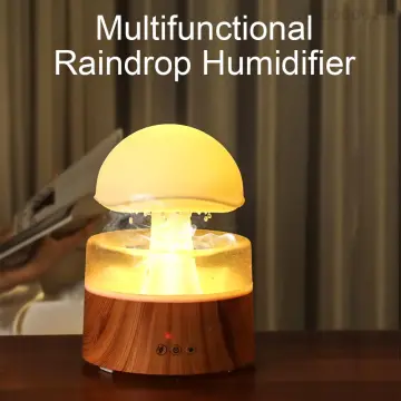 Hot Sale Relaxing Sleeping White Noise Water Dripping Sounds Essential Oil  Diffuser Mushroom Night Light Raining Cloud Diffuser - China Rainy Air  Humidifier and Aroma Diffuser with Oils price