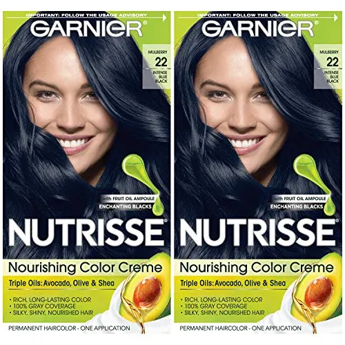 Garnier Hair Color Nutrisse Nourishing Creme, 22 Intense Blue Black, 2  Count | Lazada PH