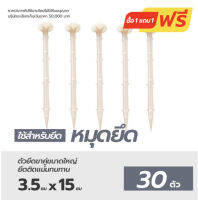 สุดคุ้ม ซื้อ 2 จ่าย 1  Matai ลิ่มปักดินรุ่นสีขาว หมุดปักดิน หมุดยึดพลาสติกคลุมวัชพืช ขนาด 6 นิ้ว แพ็ค 30 ชิ้น/แพ็คสีขาว หมุดสวน