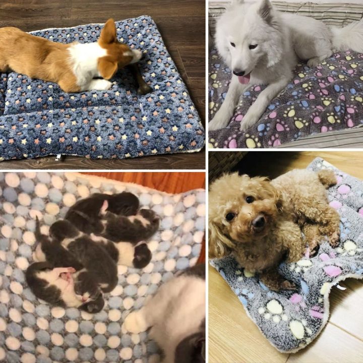 yf-pet-sleeping-mat-dog-bed-cat-soft-hair-thickened-blanket-pad-fleece-home-washable-warm-bear-pattern-supplies