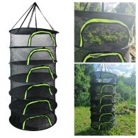 【YF】 For Herbs Hanging Basket Flowers Buds Plants Organizer Folding Dry Rack Dryer Bag Mesh Herb Drying Net 6 Layers