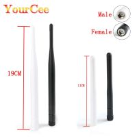 2.4GHz 3dBi 6dBi Omni WIFI Antenna with RP SMA Male Female Plug Connector For Wireless Router Wholesale Price Antenna wi-fi