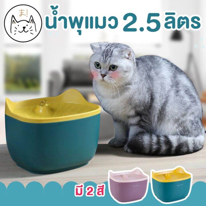 kuma-ฟรี-แผ่นกรองแท้-3-เซ็ท-น้ำพุแมว-2-5-ลิตร-น้ำพุหูแมว-สะอาด-ปลอดภัย-ที่ให้น้ำอัตโนมัติ-น้ำพุสัตว์เลี้ยง-กรองน้ำ