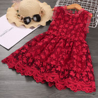 New girls dress summer western style butterfly embroidery sleeveless princess dress,girls skirts