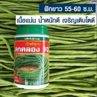 ถั่วฝักยาว ดกคลอง 10 500 กรัม