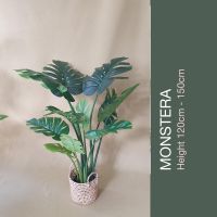 Monstera - ต้นมอนสเตร่า สูง 120 ซม. ต้นไม้ปลอมเกรดพรีเมี่ยมเพื่อการตกแต่ง ต้นไม้ประดิษฐ์  Artificial Plant for home decoration