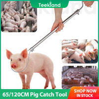 Teekland ที่ยึดแบบก้านสแตนเลสหมูอุปกรณ์จับหมูฟาร์มหมูอุปกรณ์ฟาร์มล็อคด้วยตนเอง