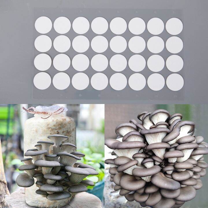 20mm-0-3-m-synthetic-filter-paper-stickers-filter-disc-mushroom-applied-under-wide-mouth-jar-lid-for-mushroom-cultivation-tool