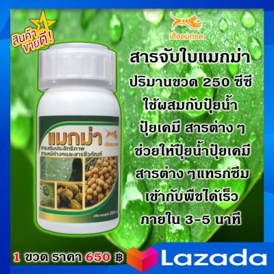 สารจับใบ แมกม่า 1 ขวด ปริมาณขวด 250 ซีซี ช่วยให้ปุ๋ยน้ำ ปุ๋ยเคมี ยา สารต่างๆทุกชนิด แทรกซึมเข้ากับพืชได้เร็ว ภายใน 3-5 นาที