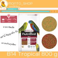 อาหารนก NutriBird B14 800g