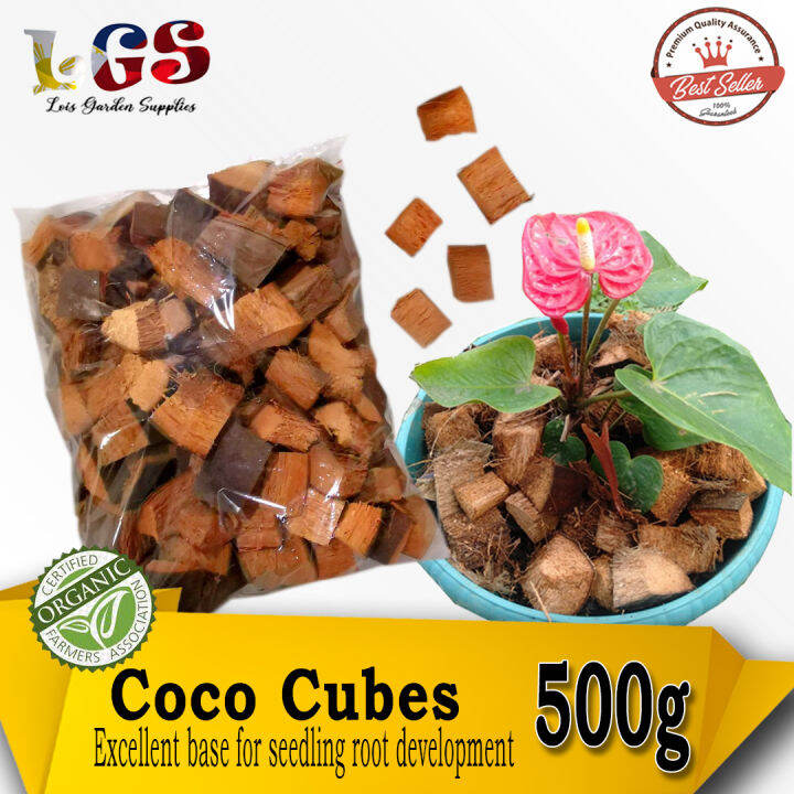 Coco Cubes HIgh Quality Packed 500g For All Kinds Of Plants Highly