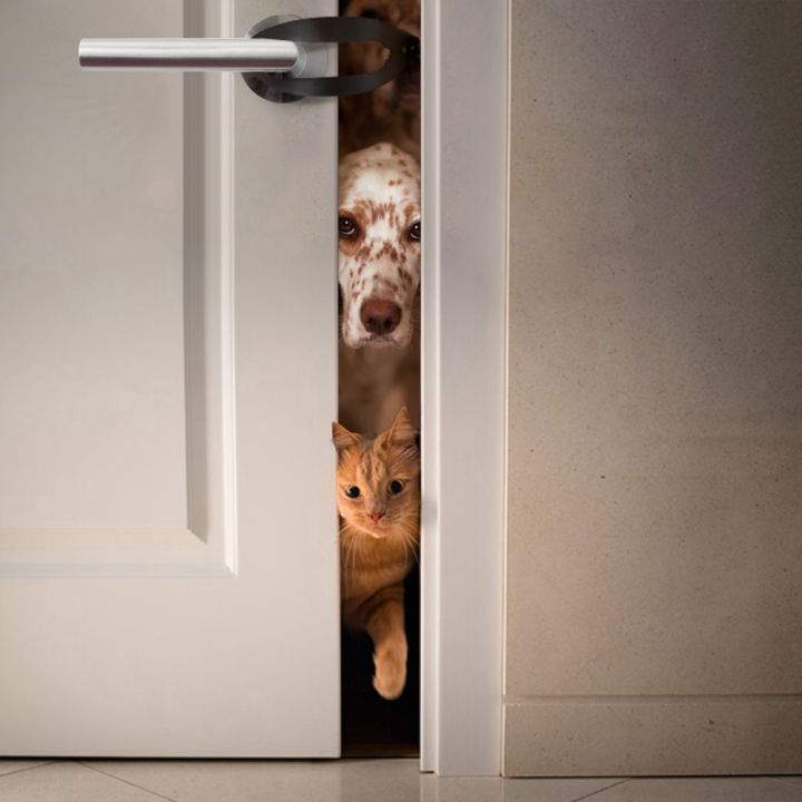papi-pet-ที่กั้นประตูสำหรับสุนัขและแมว-ที่กั้นประตูช่วยให้สุนัขเข้าและช่วยให้สุนัขเข้าได้เร็วนาฬิกาข้อมือสายพลาสติกสลักที่หยุดประตูอุปกรณ์เสริมสำหรับแมว