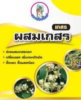 ผสมเกสร ฮอร์โมนผสมเทียม ใช้เปลี่ยนเพศ ใช้ดีกับทุกพืช เช่น ลำไย ทุเรียน มะม่วง แตงกวา (1 ลิตร)