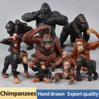 HOT!!!卐◊ pdh711 New Wildlife World Solid Simulation Animal Orangutan King Kong Gorilla Set Animals Model Action Figures Educational