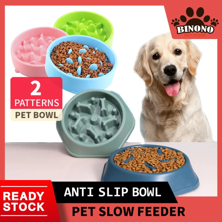 how do i slow down my dogs eating