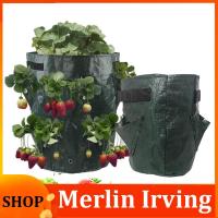 Merlin Irving Shop 5 7 10 Gallon PE Strawberry Planter Grow Bags Potato Pot Gardening Pots Flower Veg Tomato Planting Tools Container