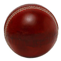 คริกเก็ต Cricket ball ลูกคริกเก็ตหนัง