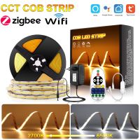 CCT LED Strip 24V COB Dimmer CCT Strip Light Tuya WiFi LED Tape Remote CCT Strip Work with Alexa Google Assistant Voice Control