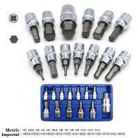 13PC Socket Key Set Pneumatic Tool Batch Sleeve Machine Motor Metric/Imperial Socket Wrench Female Torx Male With 1/4 quot;3/8 quot;1/2