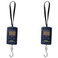 2X 40KG Digital Fishing Scale Fish Hook Hanging Weighing Scale