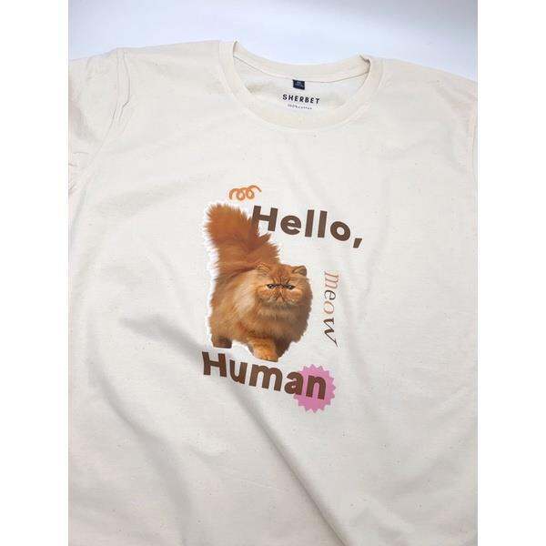 new-colllection-gangsterเสื้อยืดhello-human-sherbet-teeshop