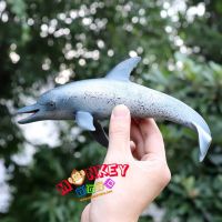 Monkey Toys - โมเดลสัตว์ Dolphin ปลาโลมา ฟ้า ขนาด 20.50 CM (จากหาดใหญ่)