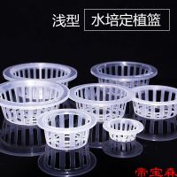 [COD] planting basket hydroponic plant glass vase green radish soilless cultivation flower shallow rooter