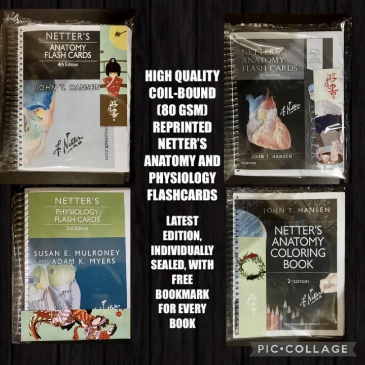 SALE Netter Anatomy and Physiology Flash Cards Latest Edition Coilbound
