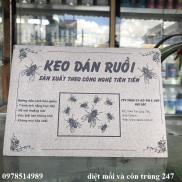 Keo dính ruồi - combo 10 miếng