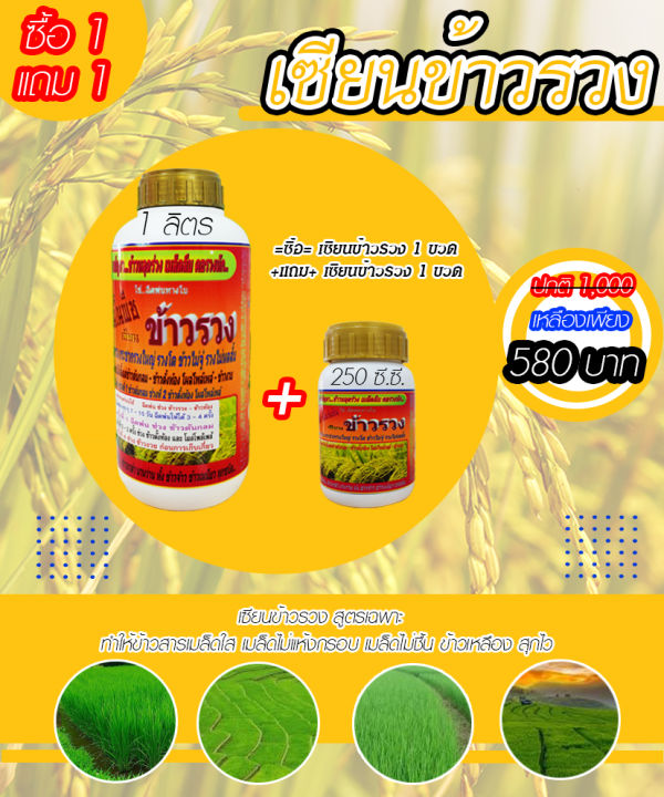 พร้อมส่ง-เซียนข้าวรวง-1ลิตร-แถมขนาด-250ซีซี-ฮอร์โมนบำรุงข้าวตั้งท้อง-อาหารเสริมพืช-ปุ๋ย-ข้าวรวง-ฮอร์โมนพืช-ปุ๋ยข้าว-ฮอร์โมนข้าว