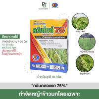 ควินไซต์ 75 (ควินคลอแรก 75%) เน้นกำจัด หญ้าข้าวนก หญ้าข้าวนกสีชมพู โดยเฉพาะ