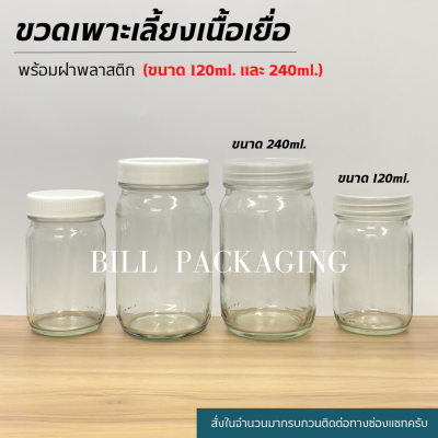 (ขวดแพ็ค10ใบ) ขวดเพาะเลี้ยงเนื้อเยื่อขนาด 120ml. และ 240ml. **คละสีฝาได้**[รหัสขวด:TG48,TG71]